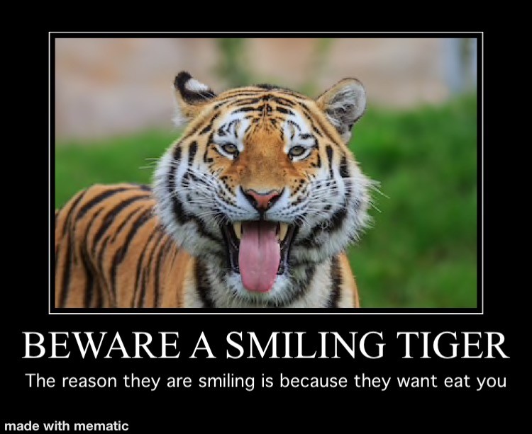 Smiling Tiger Explained: The Hidden Meaning You Should Know