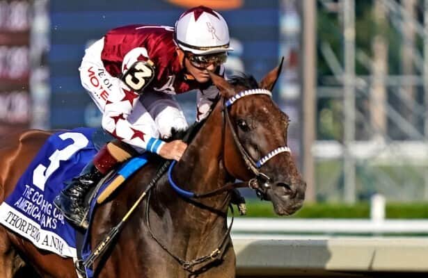 Thorpedo Anna Jockey: Get to Know the Talented Rider of This Amazing Racehorse!