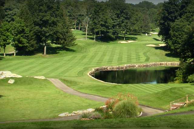 Fairview CC Review: Is This the Best Cricket Club in Town for You?