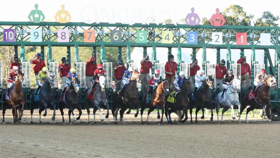 Arkansas Derby 2024 Schedule: Find Out Race Times and More