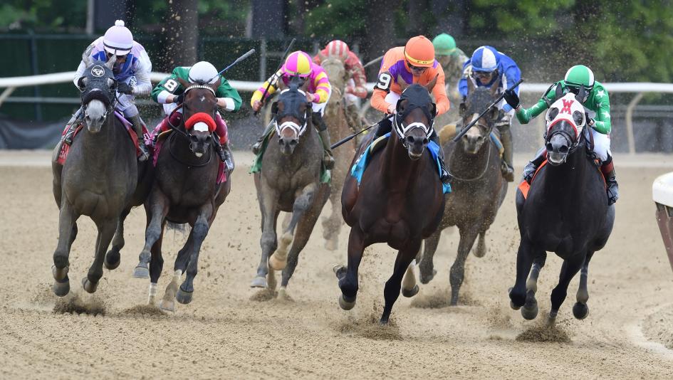 Peter Pan Stakes 2024: Your Ultimate Guide (All About the Contenders, the Odds, and the Excitement!)