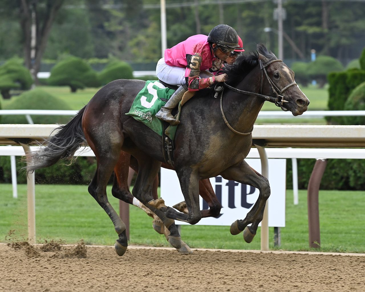Peter Pan Stakes 2024: Your Ultimate Guide (All About the Contenders, the Odds, and the Excitement!)