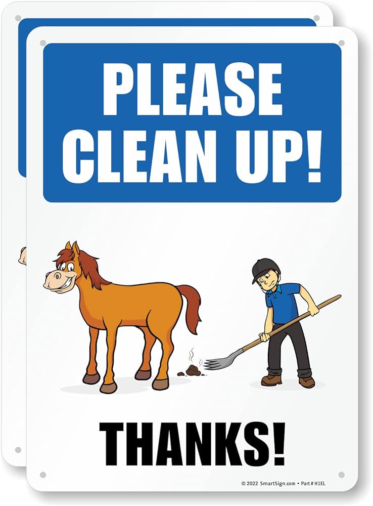 My Horse is a Mess: Help Me Clean It Up