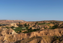 Wolf Golf Course Las Vegas Review: What to Expect and How to Play It Well