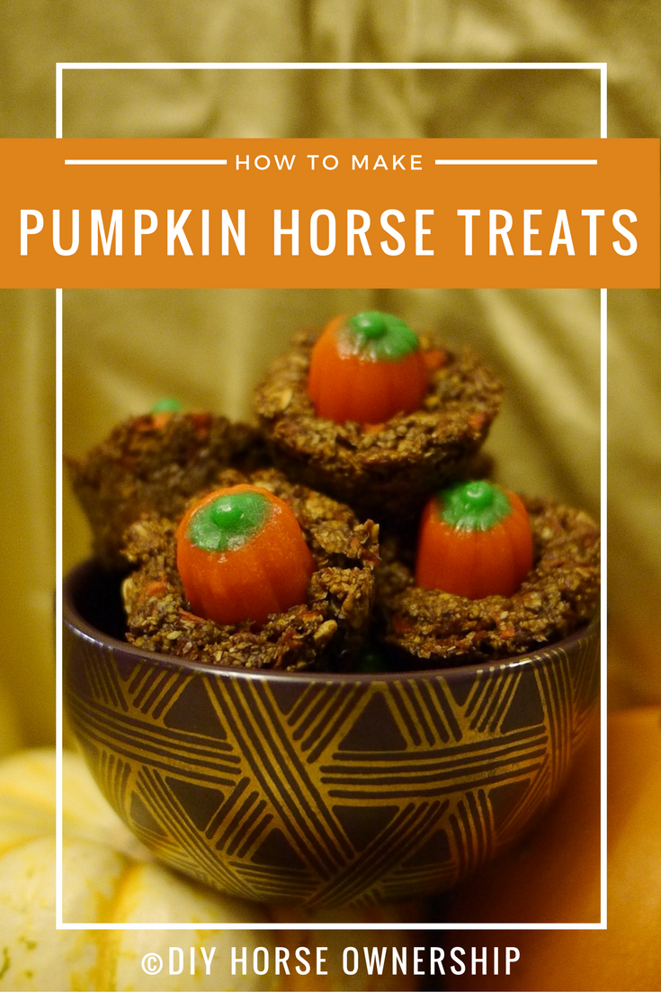 Horse Thanksgiving Treats: Delicious Recipes for Your Horse