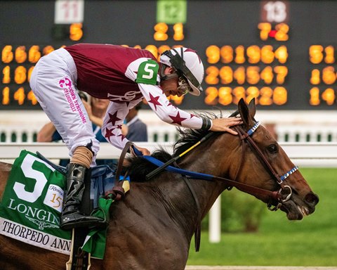 Thorpedo Anna Jockey: Get to Know the Talented Rider of This Amazing Racehorse!