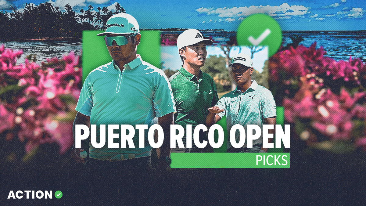 How to Use pr open 2024 (Easy Guide for Beginners)