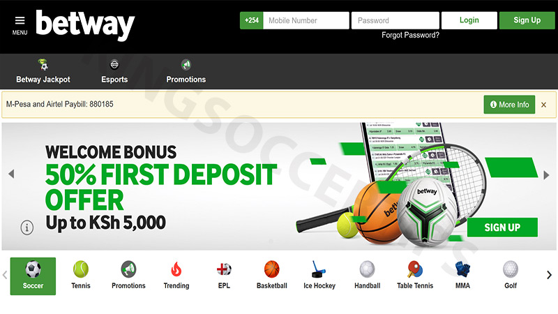 Bolivia vs. Venezuela: Where to Bet? (Easy Guide to the Best Betting Sites Online!)