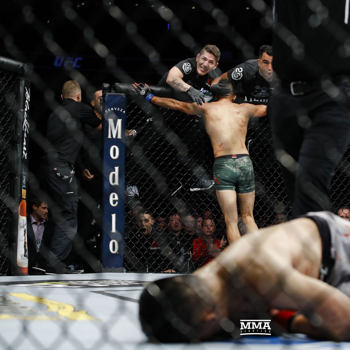 Top Korean Fighters in UFC: Check Out Their Best Knockouts!