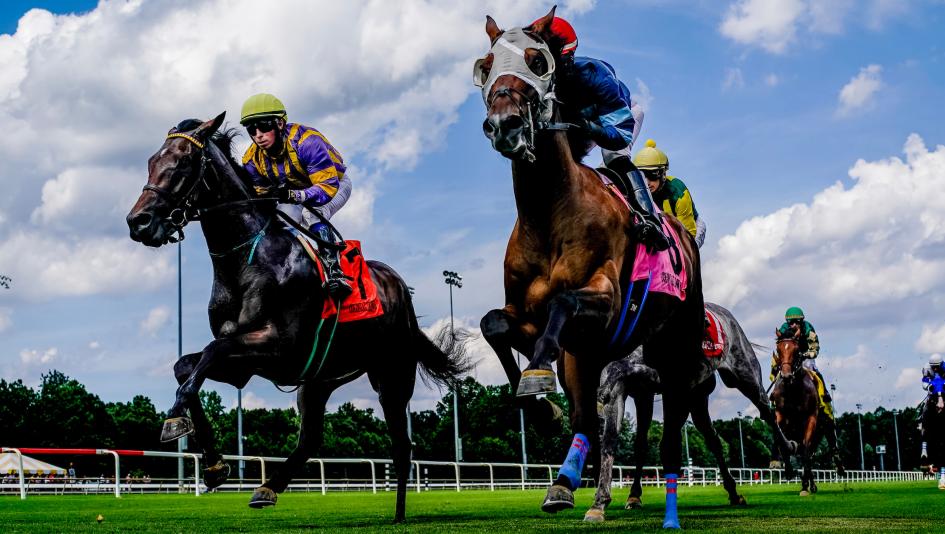 Everything You Should Know About The Beverly D Stakes: Insights and Analysis for Fans