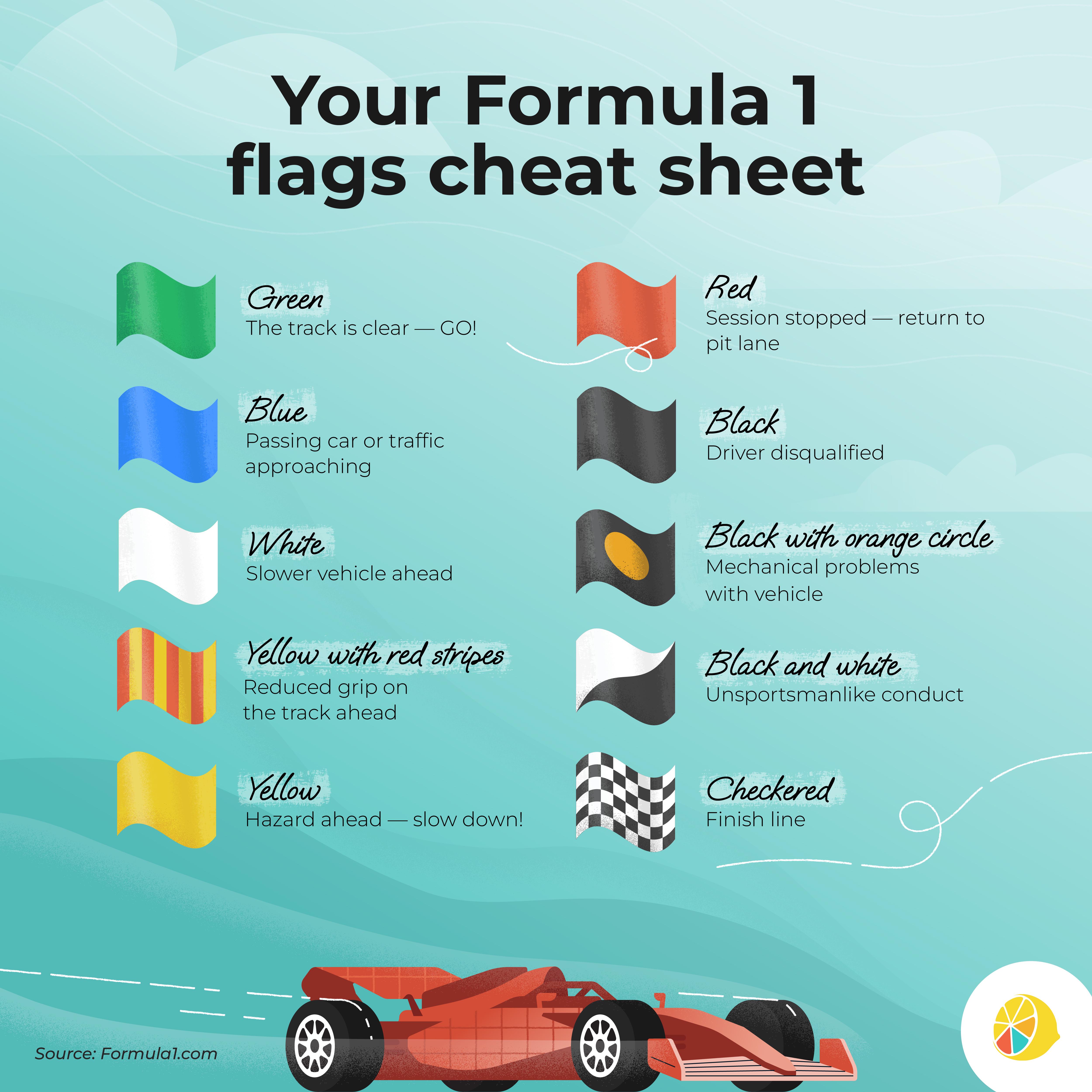 Formula One Checkered Flag Rules: What Happens at the End? (A Beginners Look at the Finish Line)