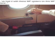 Hampter Meme The Funniest Ones Thatll Make You Laugh Out Loud Right Now