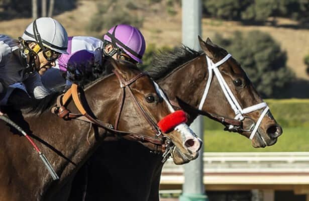 looking for santa anita race track jockey standings? Heres the latest ranking of wins!