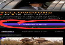 Best Peacock $20 Year Promo Code: Limited Time Offer!