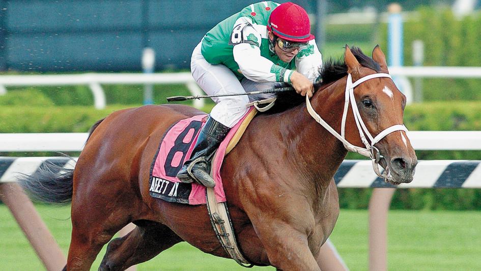 What Made Afleet Alex Horse So Special? | Find Out His Incredible Racing Journey