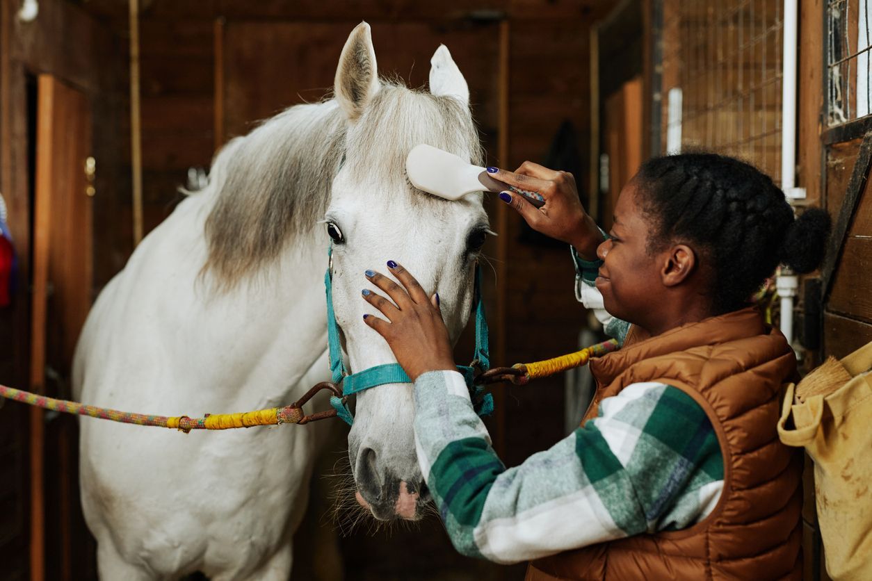 Horse Owners: Best Ways to Bond With Your Horse and Building a Strong Relationship for Horse Owners