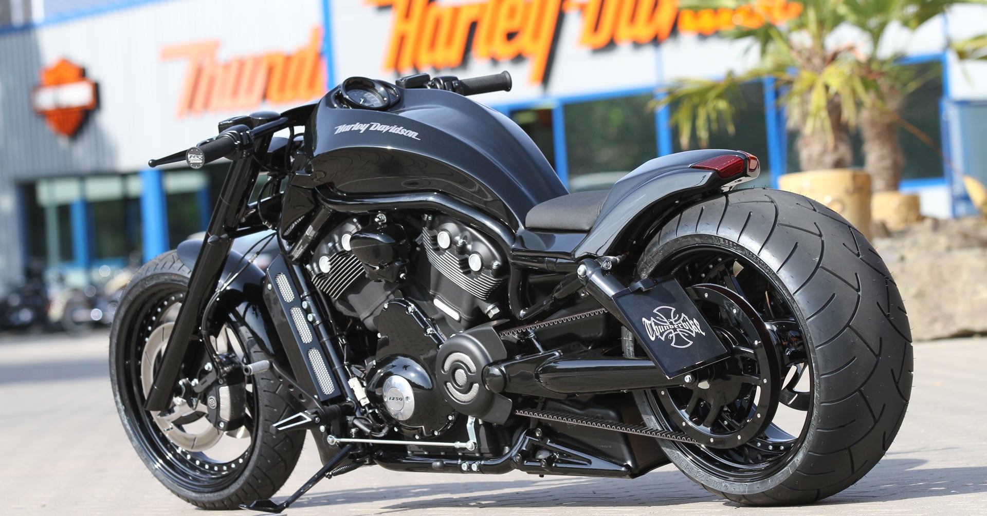 Harley Davidson V-Rod Price: How Much Does It Really Cost?