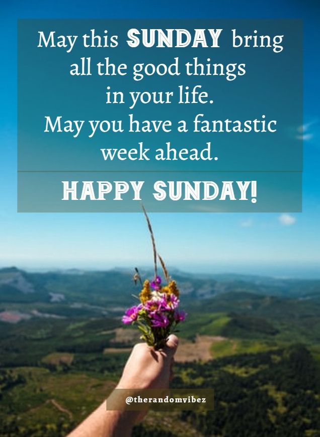 Happy Sunday and Week Ahead Guide! Heres How to Make the Most of Your Days Off and Upcoming Week.