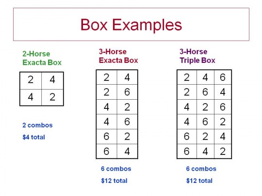 4 Horse Exacta Box Explained: How Much Does it Cost to Place This Bet?