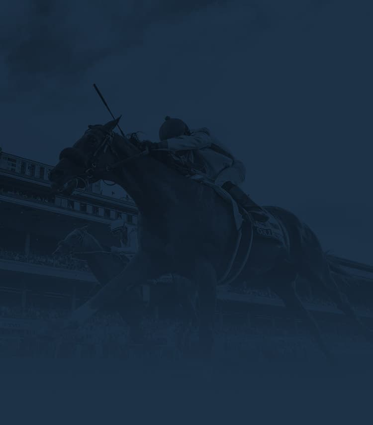 Watch HRTV Horse Racing Live (Simple Steps to Stream Races From Anywhere)