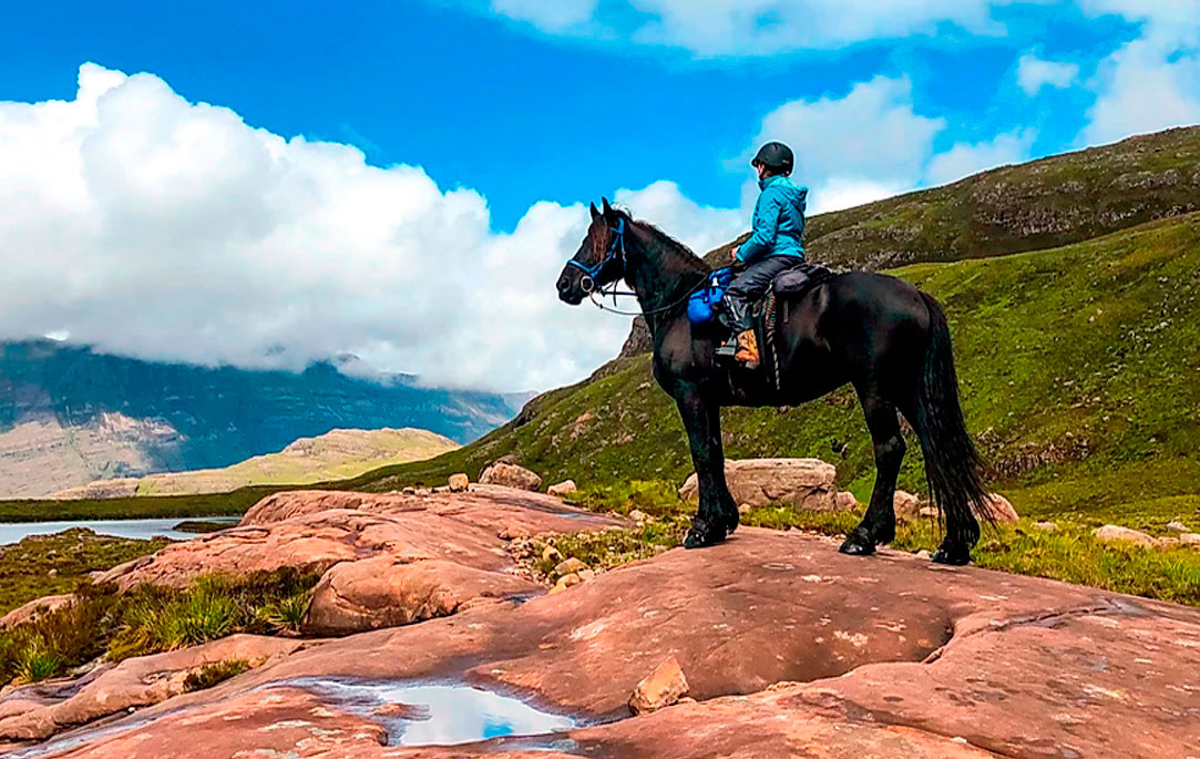 Scotland Horse Experiences: Your Guide to the Perfect Trip!
