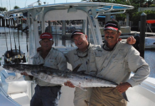 Watch Long Beach Grand Prix TV: Simple Guide to Catch All the Action Live