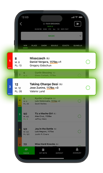 What Does Box Mean in Horse Racing? Learn the Easy Betting Term!