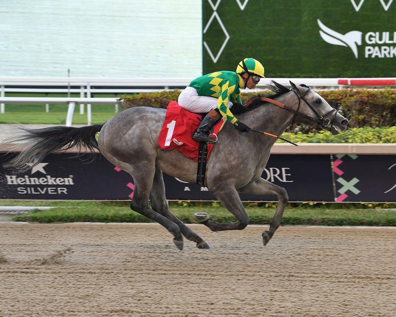 Bluegrass Stakes 2024 Contenders: Check Out the Horses, Who Is Your Favorite?