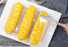 Does Cob White Start Over Giddey? Simple Reasons Why or Why Not