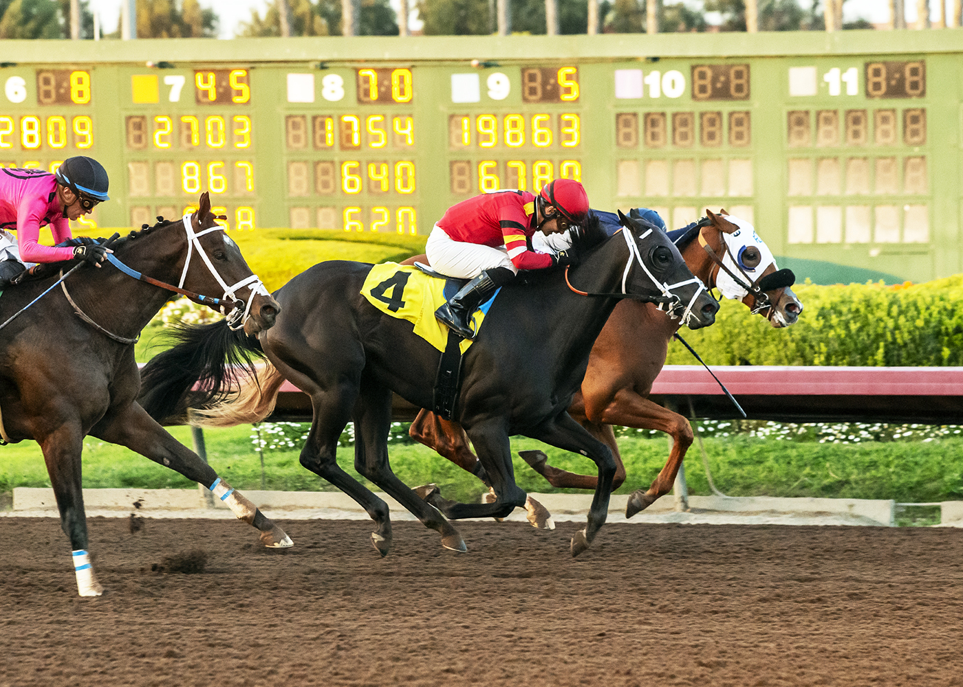 Alamitos Race Results: Find Out Who Came in First, Second, and Third Today!
