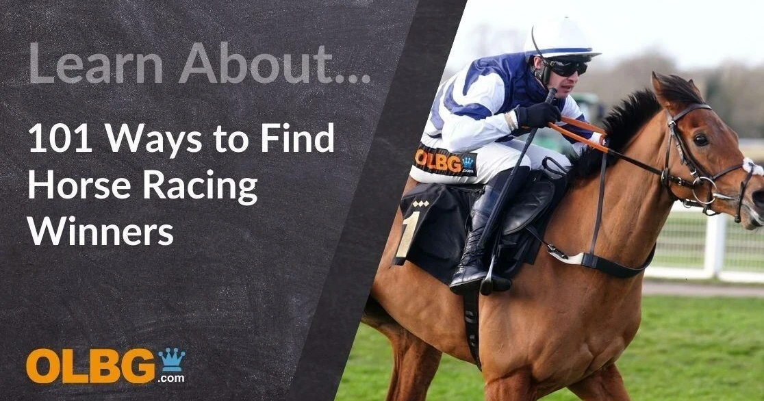 Understanding Racehorse Profiles: Easy Tips for Picking Winners