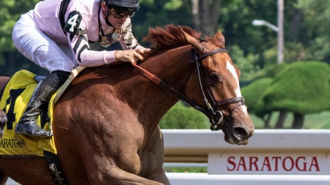 Discover the Raging Sea Horse: Everything You Need to Know Now