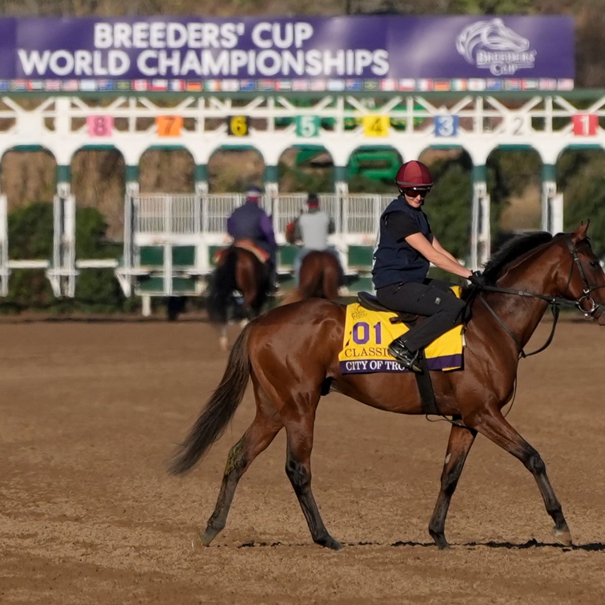 Zeitlos horse history and origins: Everything you need to know about the breed.