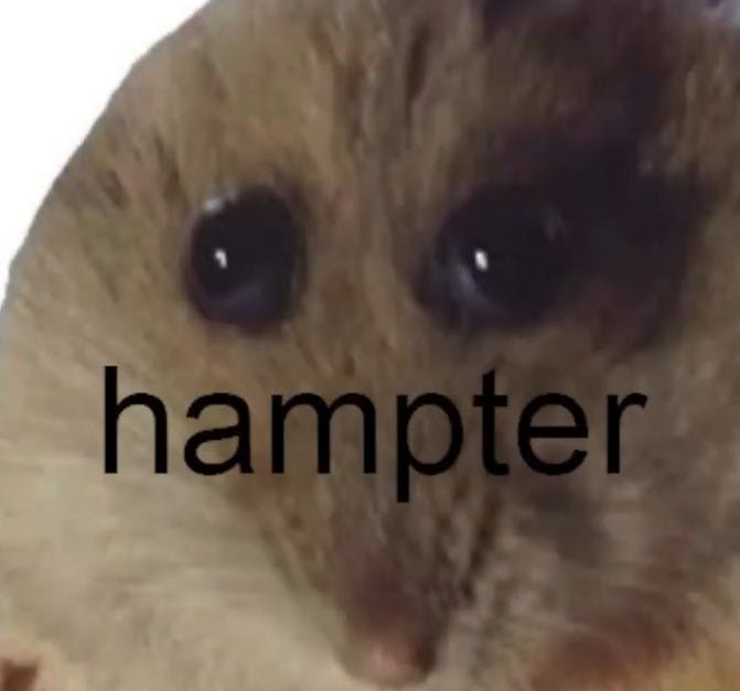 Why is the Hampter Meme So Popular? Here is Your Ultimate Guide to Internet Fame