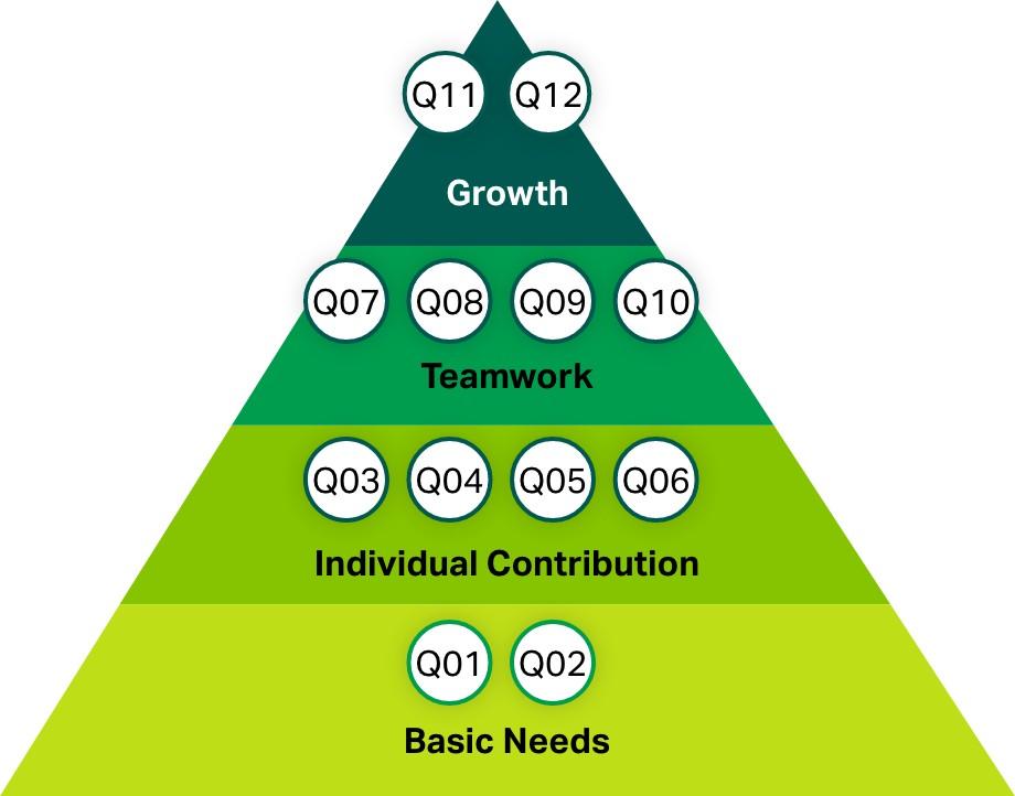 q 12 best practices (Learn from the experienced experts)