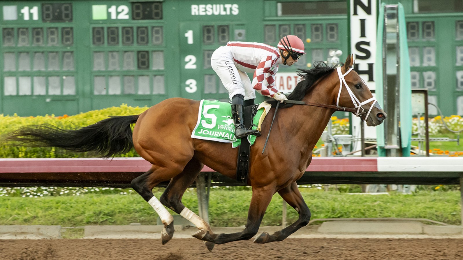 Check Los Alamitos Race Results Now - Daily Updates and Fast Results!