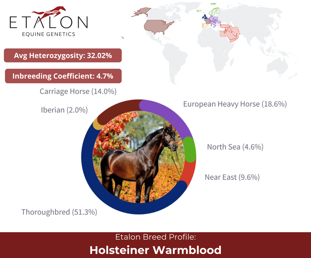 Complete Horse Profiles: Get Info on Types, Care & More!