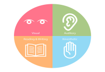 Nets School Guide: Is This The Right Learning Style for You?