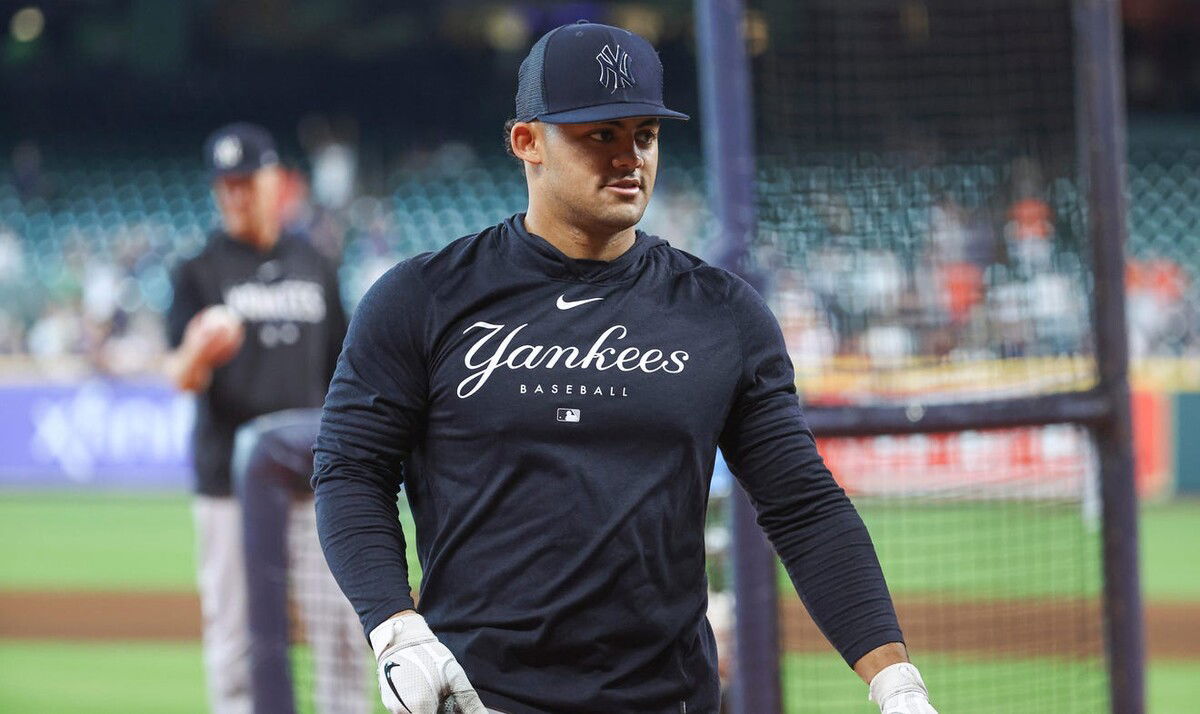 jasson dominguez 2025 plans