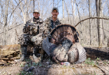 Best fotos de alex Ever Seen (Simple Photo Guide & Tips)