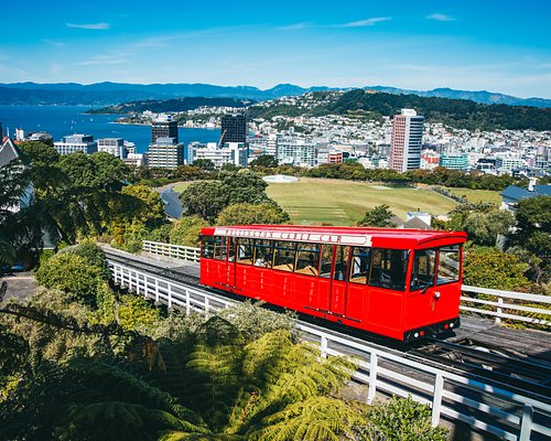 Wellington City Guide: Top Things to See & Do Now!