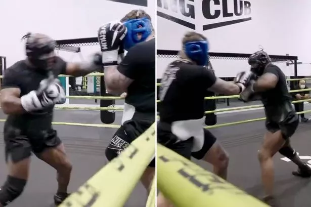 New tyson sparring video: Check out Iron Mikes skills!