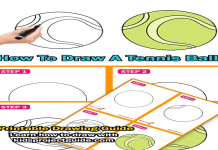 d stricker tennis: Learn Simple Tips & Beginner Guide!