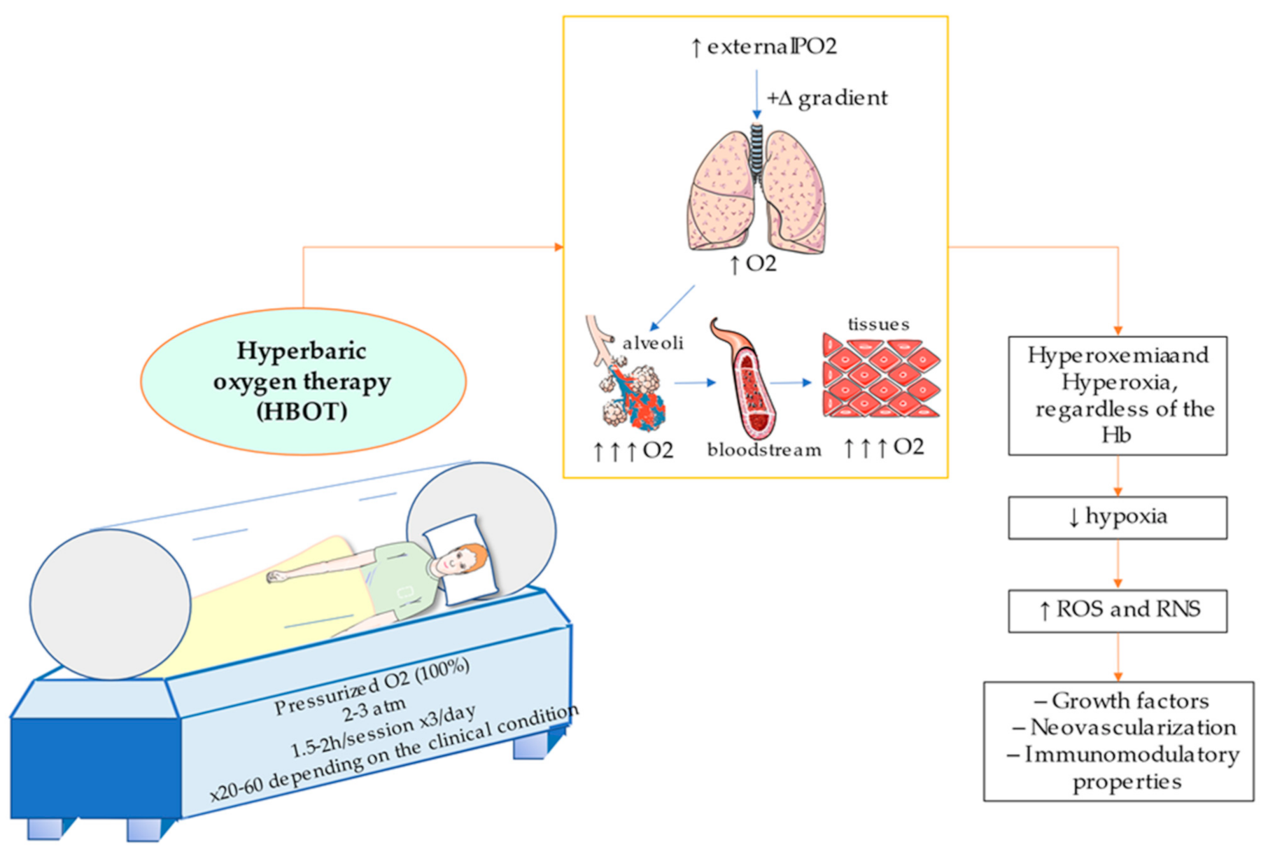 Hyperbaric Oxygen Therapy Hair Growth: How Does It Work? (Easy Explanation of the Process Involved)