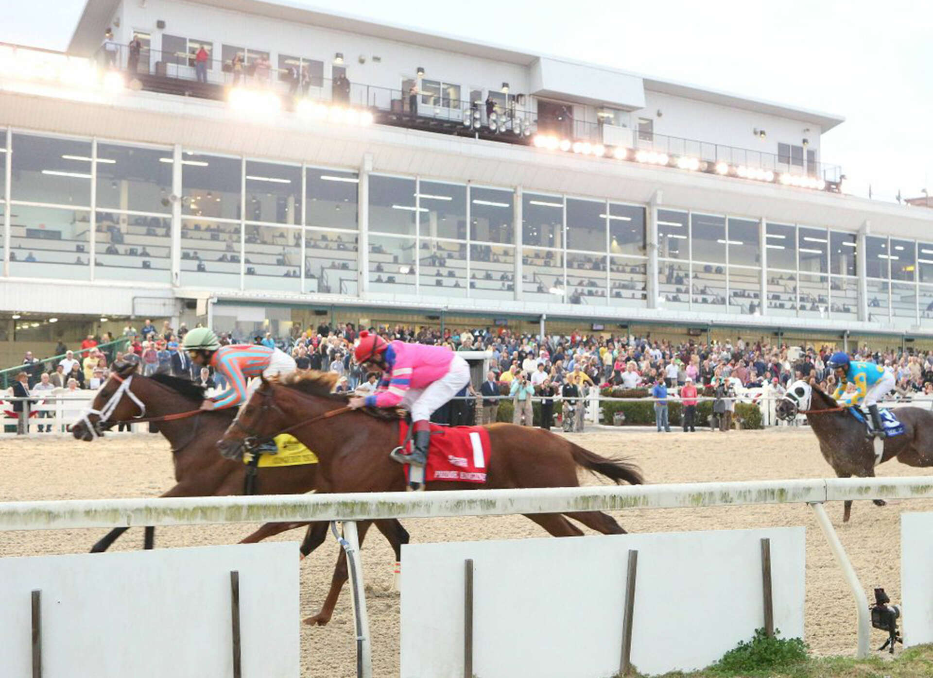 Experience Delta Downs Horse Track:What you need to know is all here.