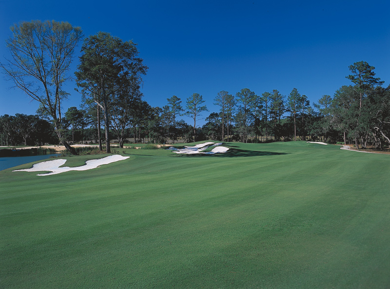Crescent Pointe Golf Club SC: What to Expect (Course & Amenities).