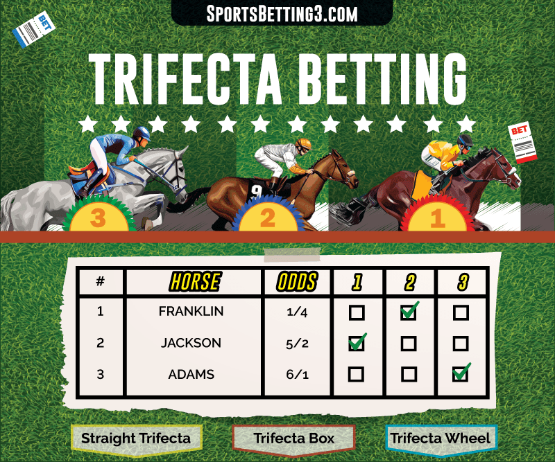 Betting a Trifecta Box: Increase Your Chances of Winning Horse Races