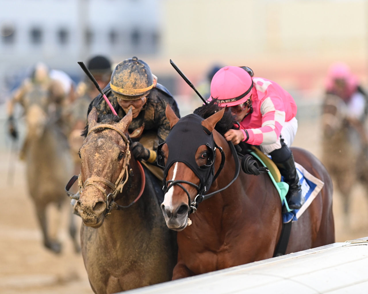 2024 Blue Grass Stakes Preview: Your Questions Answered (FAQ)