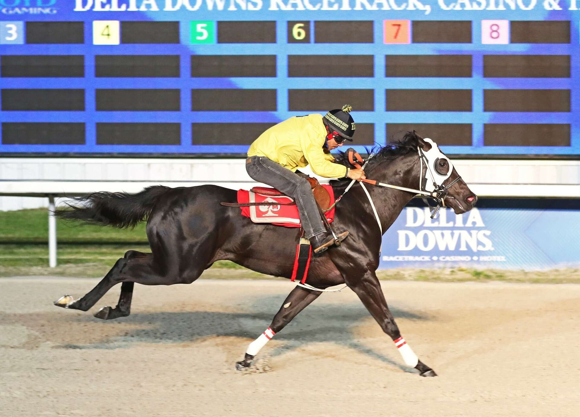 Experience Delta Downs Horse Track:What you need to know is all here.