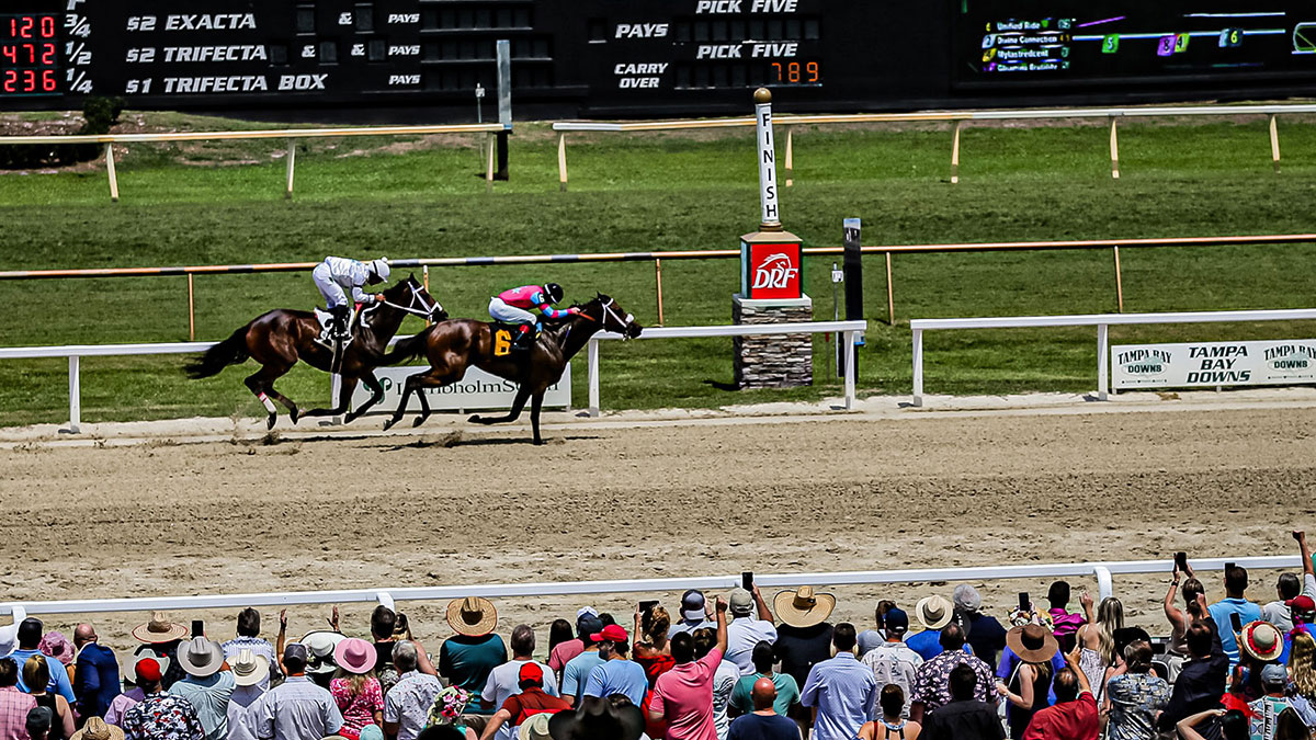 Tampa Bay Downs Race Entries & Results: Your Complete Guide.
